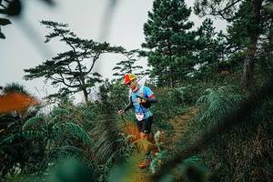 BIB: 
                            <button type="button" onclick="openModal(25258515)" class="btn btn-primary btn-sm float-right btn-popup" data-toggle="modal" data-target=".modal-high-quality">
                        <i class="fas fa-shopping-cart"></i> Add to Cart
                    </button>
                                            <button type="button" onclick="isThisMe(25258515, true)" class="btn btn-success btn-sm float-right btn-popup btn-isme hidden" data-toggle="tooltip" data-placement="bottom" title="นี่คือรูปของคุณใช่ไหม คลิกที่นี่เพื่อเอาเข้าอัลบั้ม">
                        <i class="fas fa-plus"></i> Add to album
                    </button>
                    <button type="button" onclick="isThisMe(25258515, false)" class="btn btn-warning btn-sm float-right btn-popup btn-isnotme hidden">
                        <i class="fas fa-ban"></i> Remove from album
                    </button>